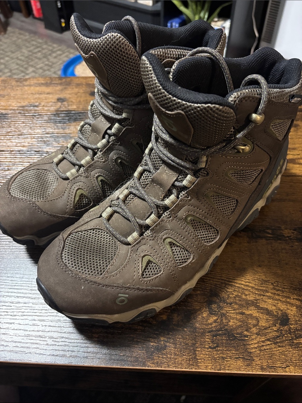 Oboz Men's Brown Hiking Boots